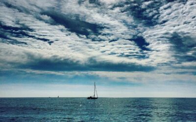 Has the first quarter of 2021 been smooth sailing for your business?