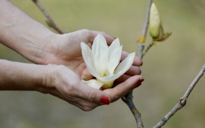 It’s almost Spring!